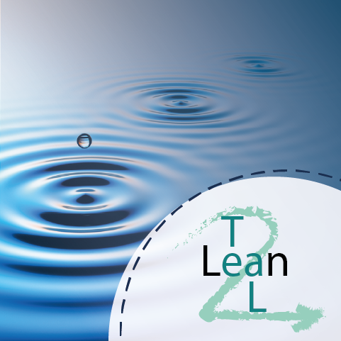 Organizzazione lean e teal